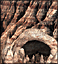 File:Stronghold Cyclops Cave.gif