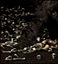 File:Dungeon Manticore Lair.gif