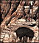 File:Stronghold Upg. Cyclops Cave.gif