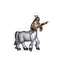 Centaurs have unused shooting animation and unused shooting sound (HoMM2 leftover).