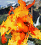 File:Fire Elemental portrait (HotA).gif
