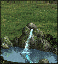 Thumbnail for File:Rampart Mystic Pond.gif